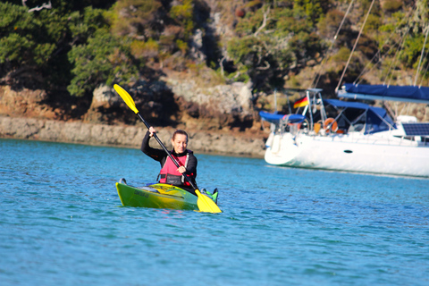 Bay of Islands: Island Discovery Kayak Tour - Afternoon