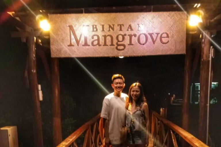 Bintan car charter + Driver Bintan Car Rent