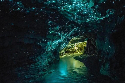 Auckland: Hobbiton& Waitomo private Tour with Hotel Pickup