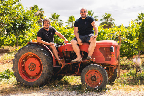 Maiorca: visita alla cantina e degustazione di vini con prodotti maiorchini