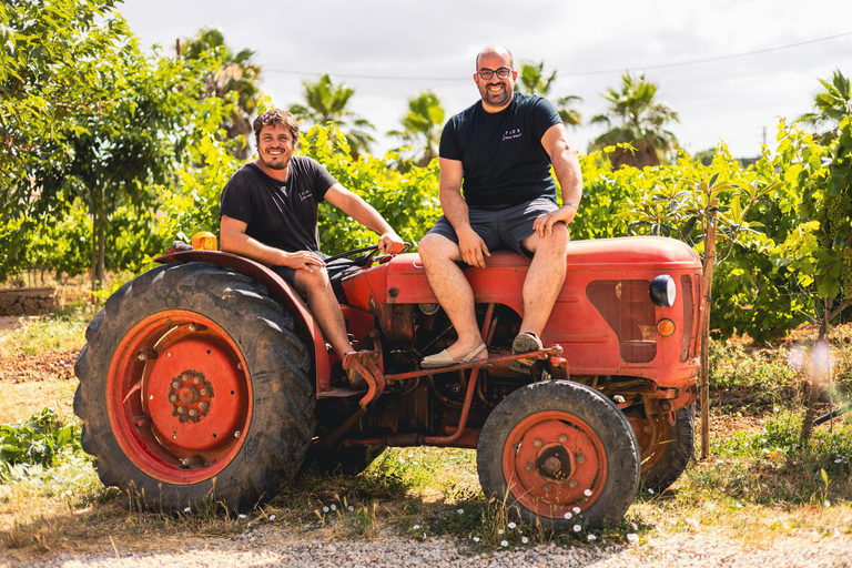 Majorque : visite d&#039;une cave et dégustation de vins, avec des produits majorquins