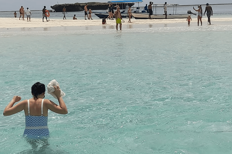 Wasini island: Marine Park, Dolphin Watch & Village Tour