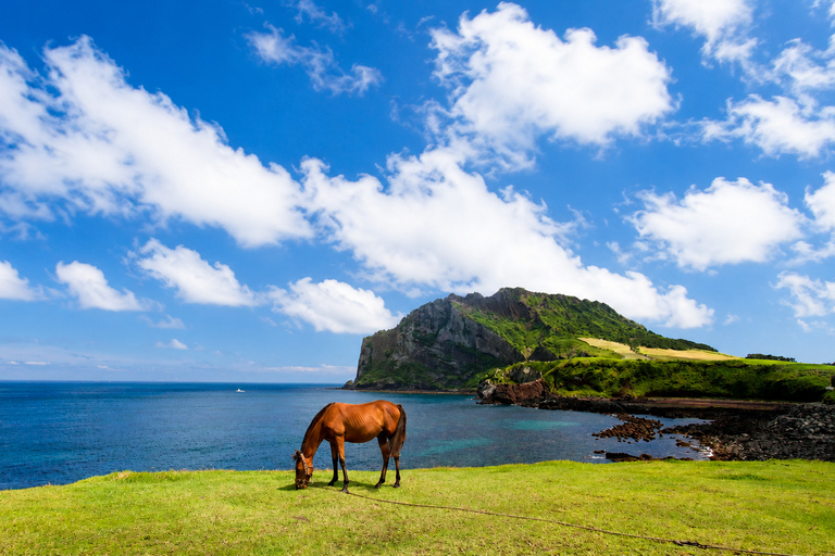 Jeju: Round-Island Grand Highlights Small Group Hotel Pickup