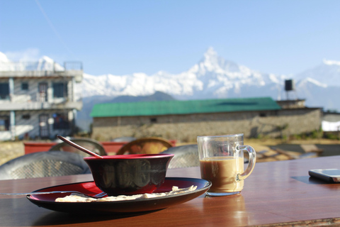 From Pokhara: Day Hiking Australian Camp & Dhampus