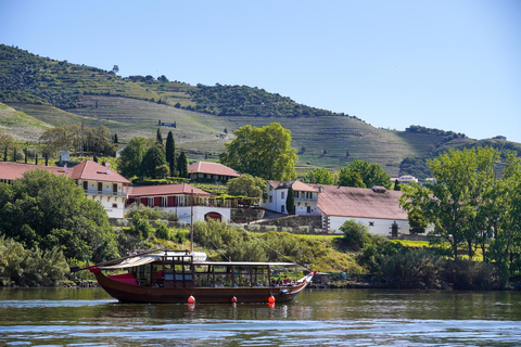 Porto: Douro Valley Day Trip with Wine Tasting & Cruise Spanish - With boat included