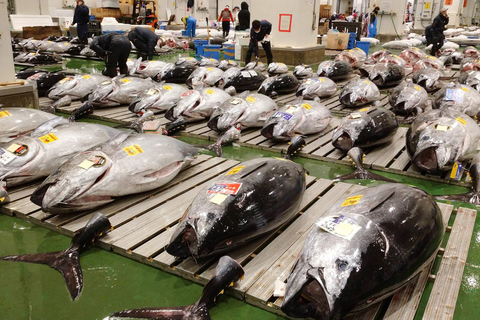 Tokyo: Toyosu Tuna Auction+Seafood Breakfast/Tsukiji Stroll Tuna Auction & Market Stroll (no Meal)