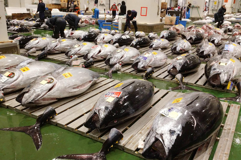Tokyo: Toyosu Tuna Auction+Seafood Breakfast/Tsukiji Stroll Tuna Auction & Seafood Breakfast (with Meal)