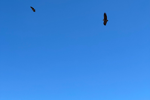 Mascate: Traslado en 4x4 a/desde Wahiba Sands, Jabal Shams o ...