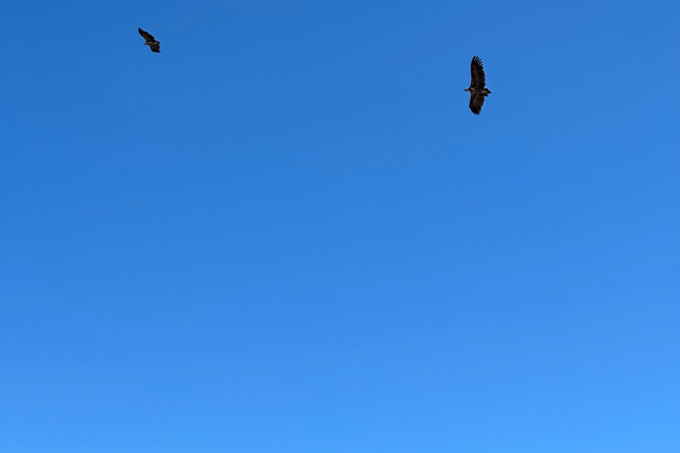 Mascate: Traslado en 4x4 a/desde Wahiba Sands, Jabal Shams o ...