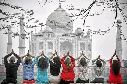 Adventures Wildlife Safari Tour with Golden Triangle 7Days Adventures Wildlife Safari Tour with Golden Triangle 7Days