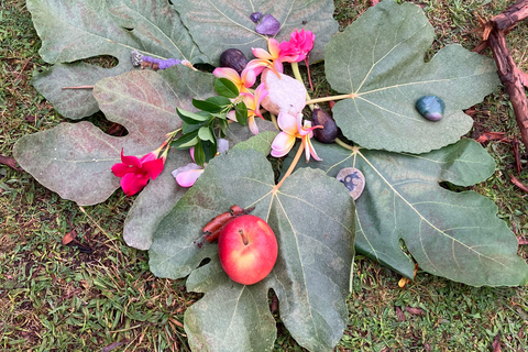 Madeira: Fanal Forest Tree Connection Ceremony &amp; Picnic