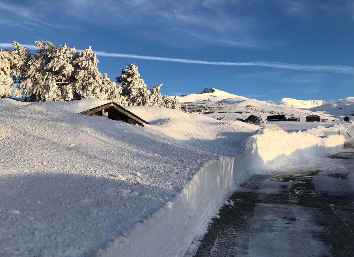 Fra Granada: Sierra Nevada Safari Tour til 2500 meters højde