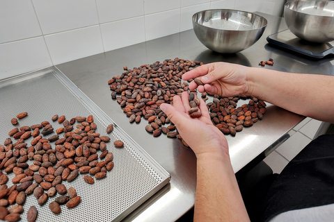 Chocolatier for a day: raw bean to bar chocolate in Modica