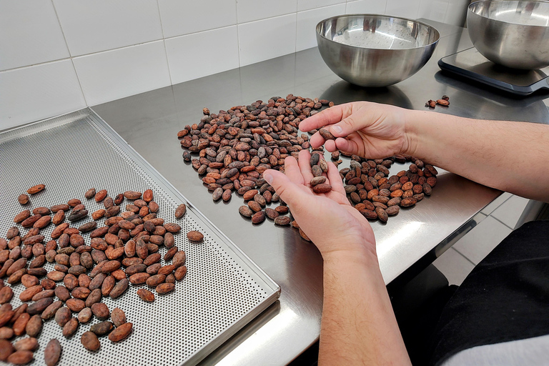 Chocolatier for a day: raw bean to bar chocolate in Modica
