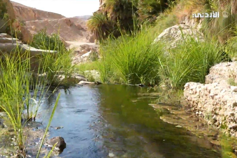 Wadi Bin Hammad Adventure & Dead Sea Day Tour from Amman