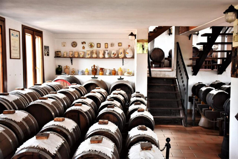 Reggio Emilia: Parmigiano & Balsamic Vinegar Tasting Tour
