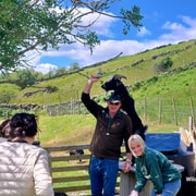 Galway: Kylemore, Sheep Farm and Connemara Private Day Tour Galway: Kylemore, Sheep Farm and Connemara Private Day Tour