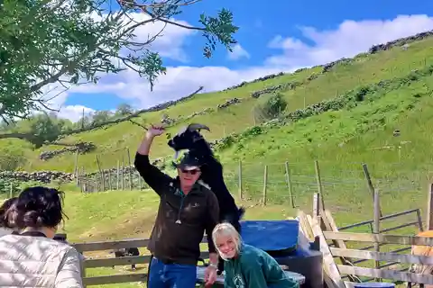 Galway: Kylemore, Sheep Farm and Connemara Private Day Tour