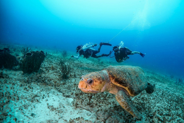 Cancún: Certified 2-Reef Diving Tour with Hotel Pickup