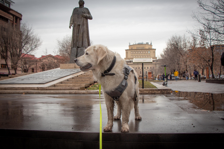 Morning walk in Yerevan: Guided Tour with my dog Charlie