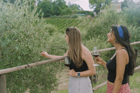 From Florence: Tuscany, Siena, San Gimignano & Winery Lunch Private Tour: Tuscany, Siena, San Gimignano & Winery Lunch