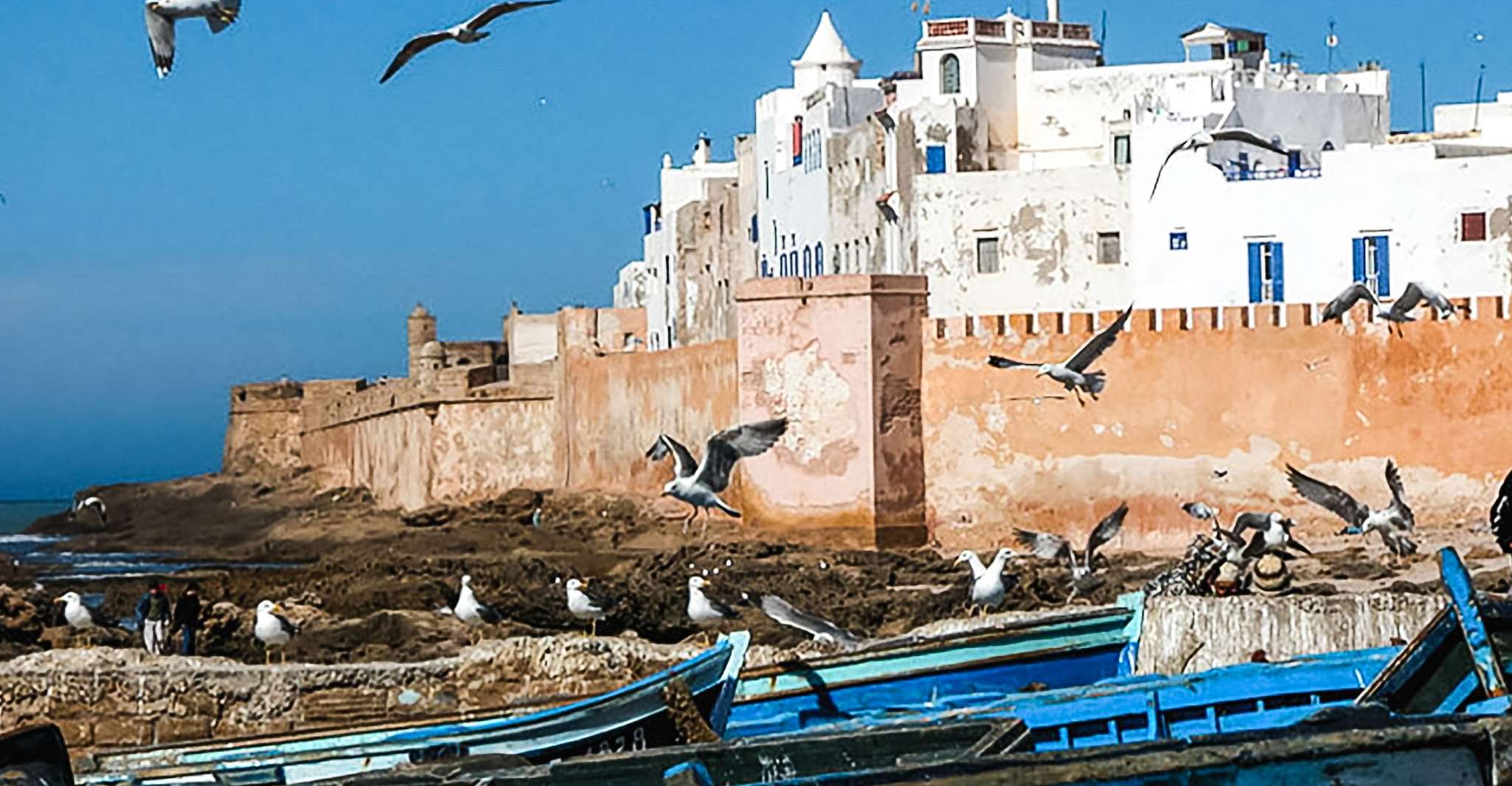 From Marrakesh, Essaouira Full-Day Trip - Housity