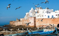 From Marrakesh, Essaouira Full-Day Trip - Housity