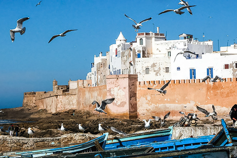 Från Marrakesh: Heldagsutflykt till EssaouiraFrån Marrakech: Essaouira på privat dagsutflykt