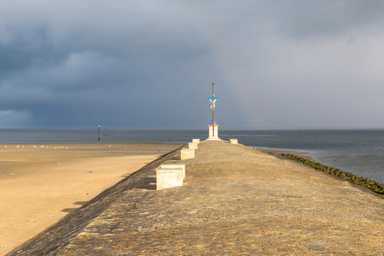 Desde Burdeos: Tarde de Bahía de Arcachon y MariscoDesde Burdeos: Tarde en la Bahía de Arcachon