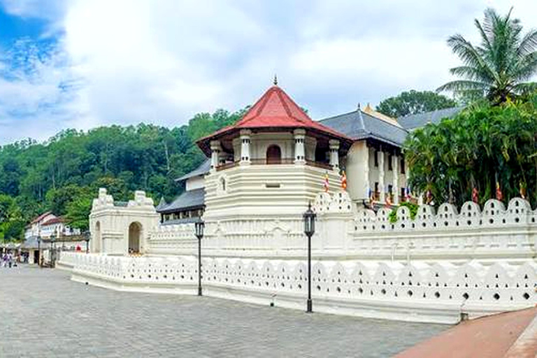 Kandy Day Trip with Temple of Sacred Tooth From Bentota