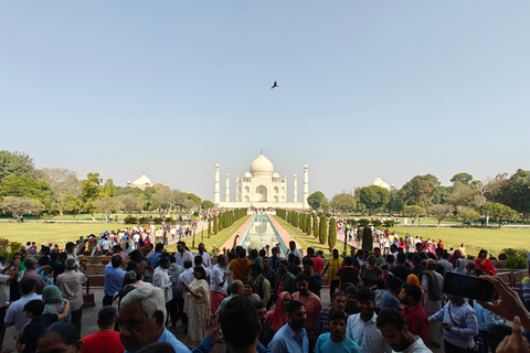 From Delhi: Taj Mahal Sunrise Tour with Elephant SOS Centres Tour with Car, Driver, Ticket, Guide & 5star Meals