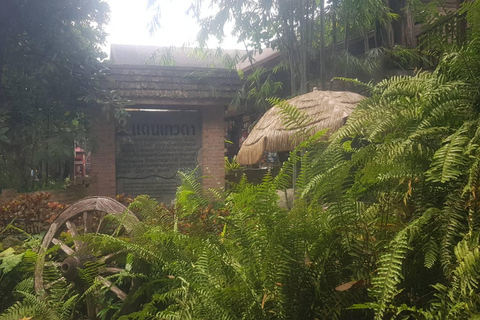 Gems of Chiangmai : Dantewada, Wat Ban den, Sticky Waterfall