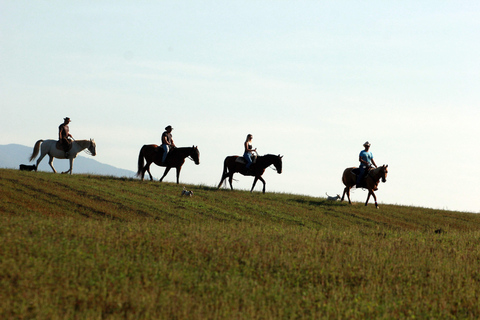 Plitvice: Horseback Riding Tour with Cave Entry Ticket Ride to Barać Caves (Half‑day Horseback Tour)