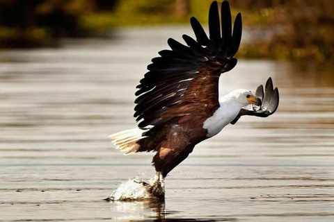Tagestour zum Mount Longonot Park von Nairobi aus