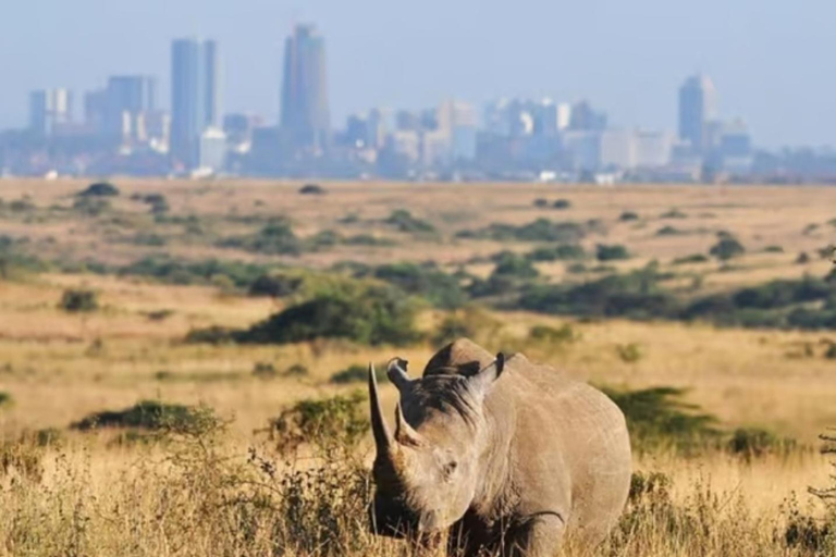 Airport: Nairobi National Park layover tour- pickup/drop-off