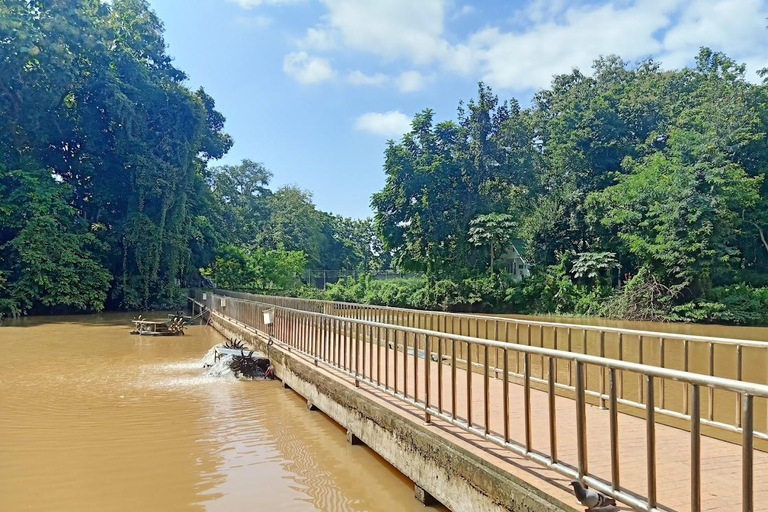 Chiang Mai:Wat Phra That Doi Suthep & Wat Umong Evening Tour Chiang Mai: Wats Phra That Doi Suthep & Umong Evening Tour