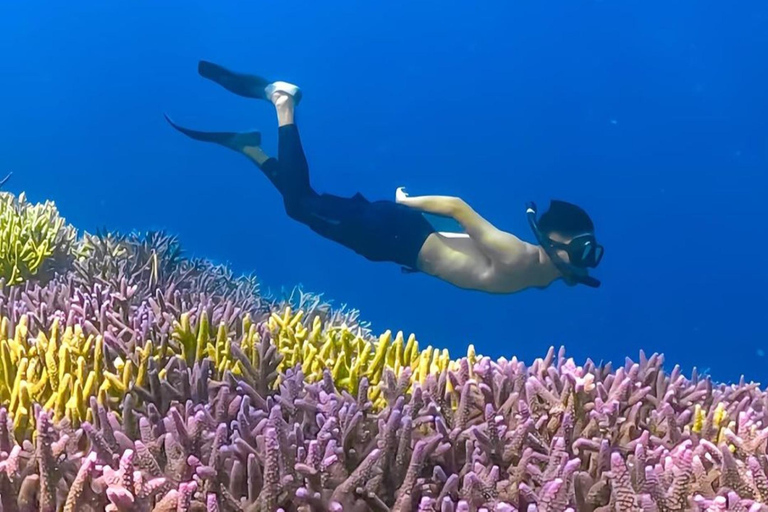 Excursão exclusiva a Gili Nanggu, Sudak e Kedis com GoProPequenos grupos privados