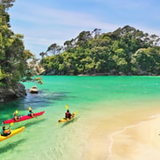 Abel Tasman: Beaches, Bays & Seals Kayak Tour with Cruise Abel Tasman: Beaches, Bays & Seals Kayak Tour with Cruise