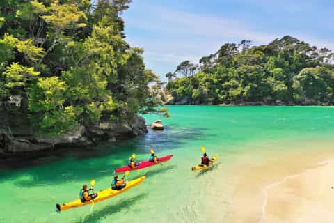 Abel Tasman : excursion kayak plages, criques et phoques avec croisiere