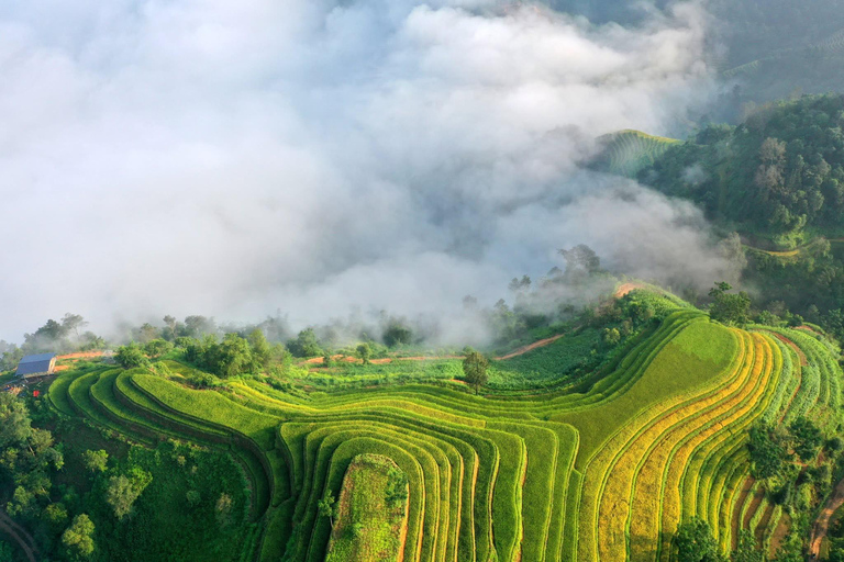 Mu Cang Chai 2 Days Tour Trekking Terraced Rice Field