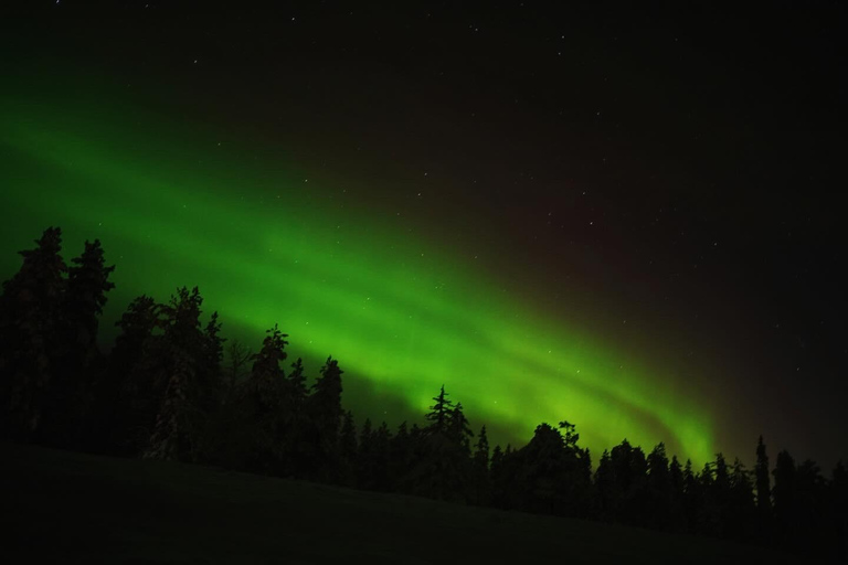 Northern Lights Rovaniemi Guaranteed & Unlimited KM Hunting