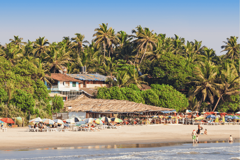 Excursión matutina en bicicleta por las playas de Goa con desayuno