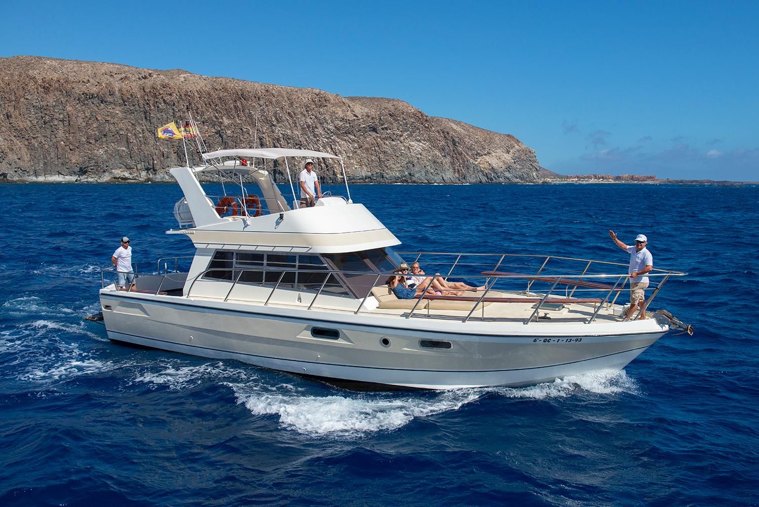 Teneriffa: Walbeobachtungstour und Schwimmen im Meer mit einer Yacht für 22 Personen