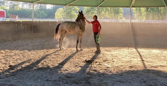 Lake Maggiore: Group Riding Lesson (Beginner and Intermediate)