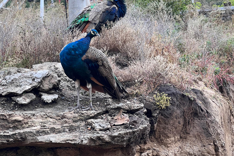 Paisagens Sagradas: Explorando Aglag Buteel