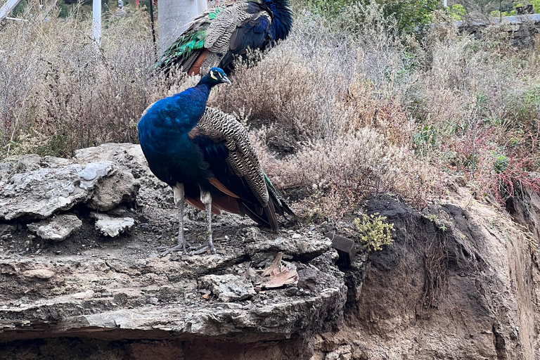 Paisagens Sagradas: Explorando Aglag Buteel
