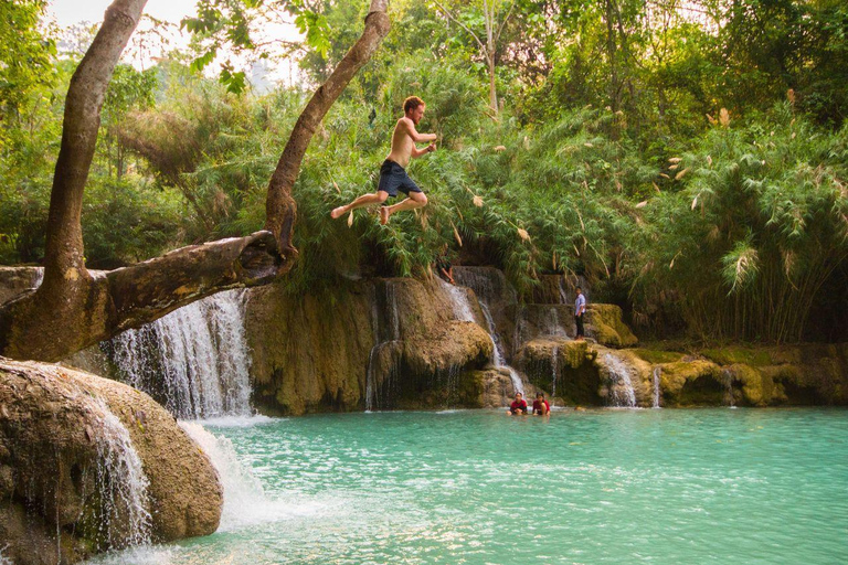 Luang Prabang: Morning Cultural Discovery and Nature Escape