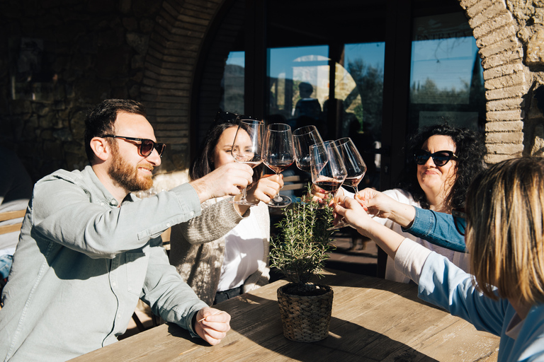 Von Florenz aus: Chianti-Hügel Halbtagestour mit WeinverkostungWeinkeller-Tour auf Englisch