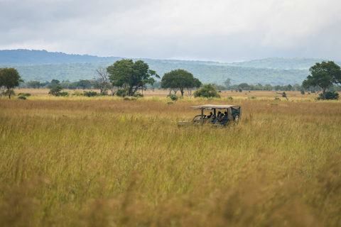Från Zanzibar: Mikumi Safari med tvåmotorigt flygplan + lunchMikumi Safari – utan transfer