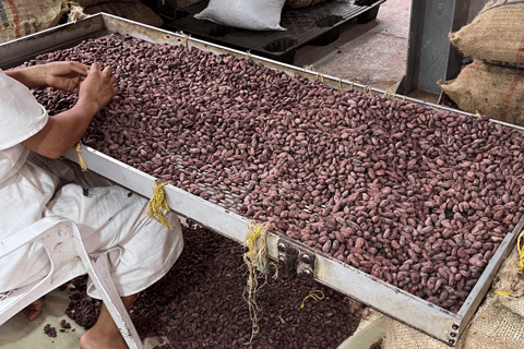 Santa Marta : excursion en paddleboard sur la rivière Don Diego et visite d'une chocolaterieSanta Marta : excursion en paddleboard sur la rivière Don Diego et dégustation de cho